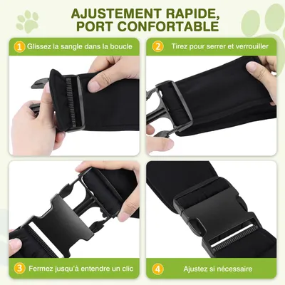 ALLSOPETS Haustierrucksack