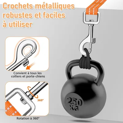 HausPets Hundeleine 5m reflektierend leicht 250kg
