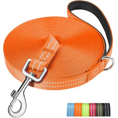 HausPets Hundeleine 5m reflektierend leicht 250kg