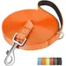 HausPets Hundeleine 5m reflektierend leicht 250kg