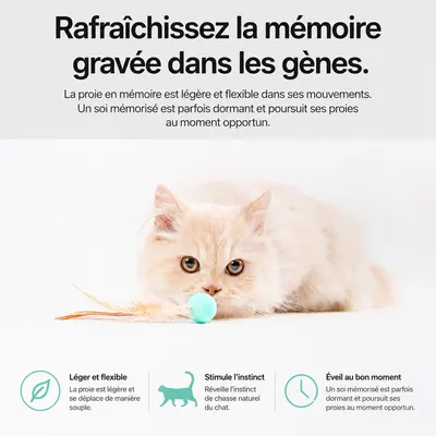 pidan Balles rebondissantes pour chat avec plumes pidan Balles rebondissantes pour chat avec plumes