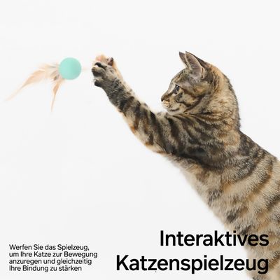 PIDAN Hüpfball Set