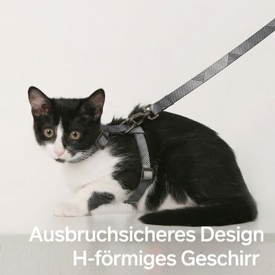 PIDAN Katzengeschirr und Leinen Set