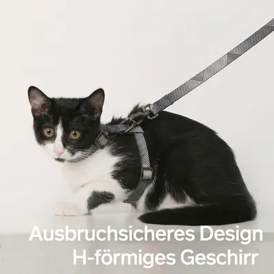 PIDAN Katzengeschirr und Leinen Set PIDAN Katzengeschirr und Leinen Set