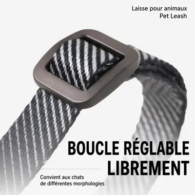 pidan Ensemble harnais et laisse pour chat réglable anti-fugue