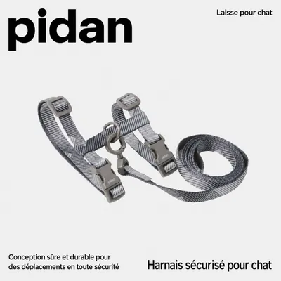 pidan Ensemble harnais et laisse pour chat réglable anti-fugue