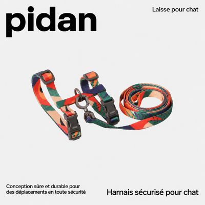 pidan Ensemble harnais et laisse pour chat réglable anti-fugue