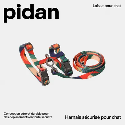 pidan Ensemble harnais et laisse pour chat réglable anti-fugue