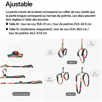 pidan Ensemble harnais et laisse pour chat réglable anti-fugue