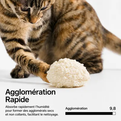 pidan Litière pour chats Litière végétale au manioc pidan Litière pour chats Litière végétale au manioc