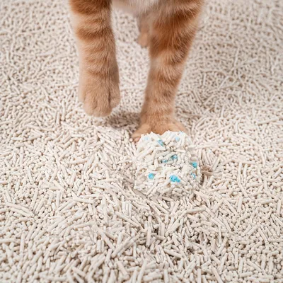 pidan Litière pour chats Litière au tofu avec indicateur sanguin pidan Litière pour chats Litière au tofu avec indicateur sanguin