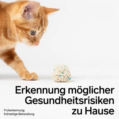 pidan Tofu-Katzenstreu mit Blutindikator pidan Tofu-Katzenstreu mit Blutindikator