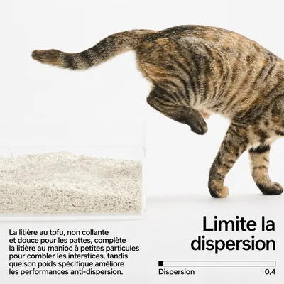 pidan Litière pour chats Litière au manioc et au tofu