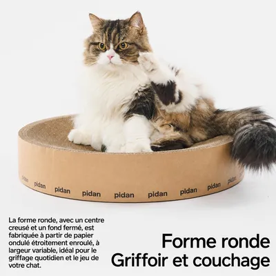 pidan Griffoir rond pour chat en carton 2-en-1 pidan Griffoir rond pour chat en carton 2-en-1