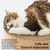 pidan Griffoir rond pour chat en carton 2-en-1 pidan Griffoir rond pour chat en carton 2-en-1