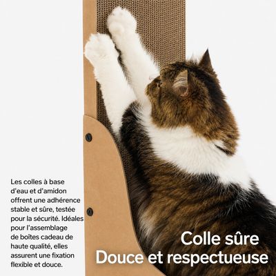 pidan Griffoir d’angle pour chat en carton