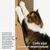 pidan Griffoir d’angle pour chat en carton pidan Griffoir d’angle pour chat en carton