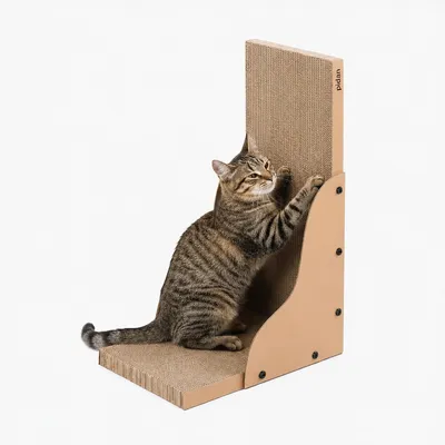 pidan Griffoir d’angle pour chat en carton pidan Griffoir d’angle pour chat en carton