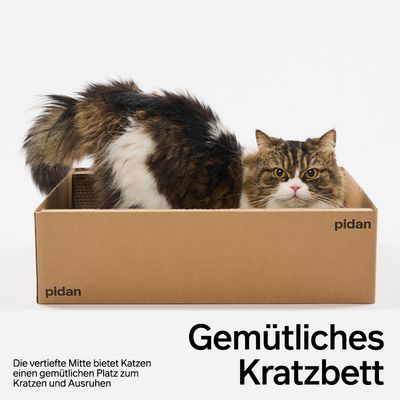 PIDAN Kratzbrett in Boxform