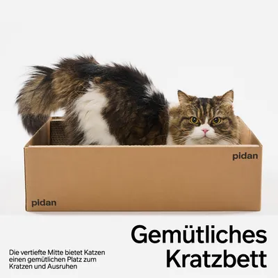 PIDAN Kratzbrett in Boxform