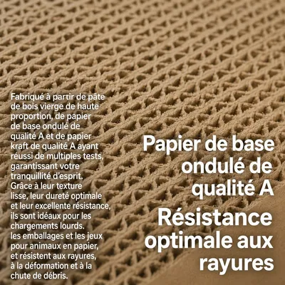 pidan Griffoir boîte pour chat avec 3 surfaces pidan Griffoir boîte pour chat avec 3 surfaces