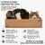 pidan Griffoir boîte pour chat avec 3 surfaces pidan Griffoir boîte pour chat avec 3 surfaces