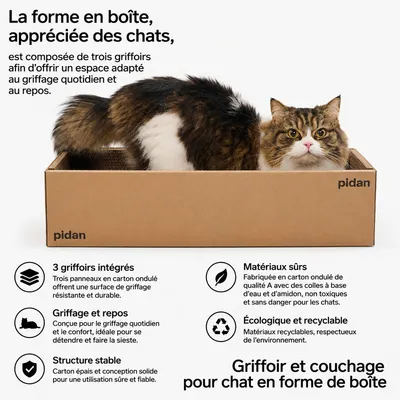 pidan Griffoir boîte pour chat avec 3 surfaces pidan Griffoir boîte pour chat avec 3 surfaces