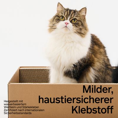 PIDAN Kratzbrett in Boxform