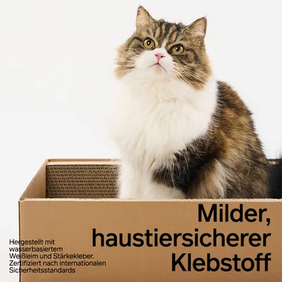 PIDAN Kratzbrett in Boxform