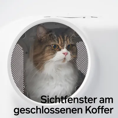 PIDAN Katzen Transportkoffer