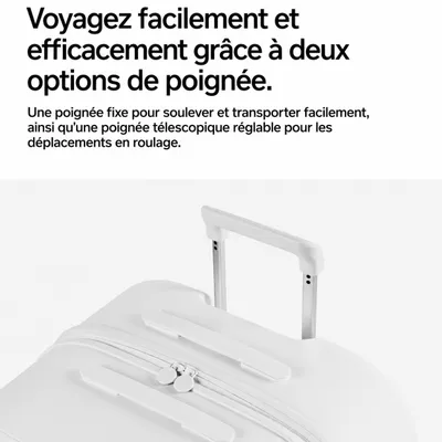 pidan Caisse de transport ventilée à roulettes pour chat pidan Caisse de transport ventilée à roulettes pour chat