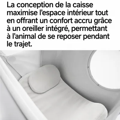 pidan Caisse de transport ventilée à roulettes pour chat pidan Caisse de transport ventilée à roulettes pour chat
