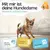 HUND IST KÖNIG saugstarke Hundewindeln Hündinnen (3 Stk), 3-Fach Justierung HUND IST KÖNIG saugstarke Hundewindeln Hündinnen (3 Stk), 3-Fach Justierung