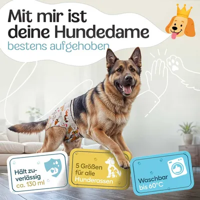 HUND IST KÖNIG saugstarke Hundewindeln Hündinnen (3 Stk), 3-Fach Justierung HUND IST KÖNIG saugstarke Hundewindeln Hündinnen (3 Stk), 3-Fach Justierung