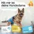 HUND IST KÖNIG saugstarke Hundewindeln Hündinnen (3 Stk), 3-Fach Justierung HUND IST KÖNIG saugstarke Hundewindeln Hündinnen (3 Stk), 3-Fach Justierung