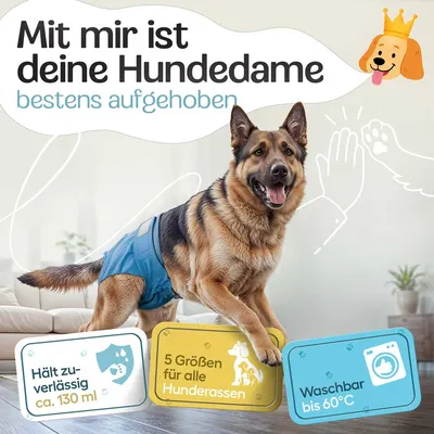 HUND IST KÖNIG saugstarke Hundewindeln Hündinnen (3 Stk), 3-Fach Justierung HUND IST KÖNIG saugstarke Hundewindeln Hündinnen (3 Stk), 3-Fach Justierung