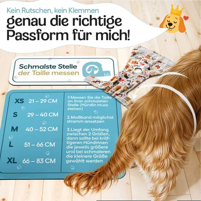 HUND IST KÖNIG saugstarke Hundewindeln Hündinnen (3 Stk), 3-Fach Justierung HUND IST KÖNIG saugstarke Hundewindeln Hündinnen (3 Stk), 3-Fach Justierung