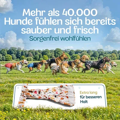 HUND IST KÖNIG saugstarke Hundewindeln Hündinnen (3 Stk), 3-Fach Justierung HUND IST KÖNIG saugstarke Hundewindeln Hündinnen (3 Stk), 3-Fach Justierung