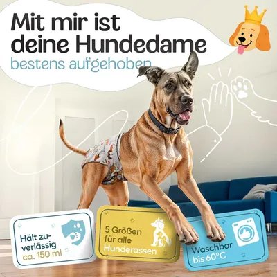 HUND IST KÖNIG saugstarke Hundewindeln Hündinnen (3 Stk), 3-Fach Justierung HUND IST KÖNIG saugstarke Hundewindeln Hündinnen (3 Stk), 3-Fach Justierung