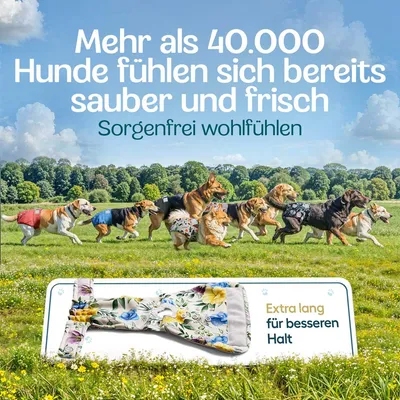 HUND IST KÖNIG saugstarke Hundewindeln Hündinnen (3 Stk), 3-Fach Justierung HUND IST KÖNIG saugstarke Hundewindeln Hündinnen (3 Stk), 3-Fach Justierung