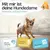 HUND IST KÖNIG saugstarke Hundewindeln Hündinnen (3 Stk), 3-Fach Justierung HUND IST KÖNIG saugstarke Hundewindeln Hündinnen (3 Stk), 3-Fach Justierung