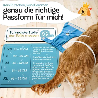 HUND IST KÖNIG saugstarke Hundewindeln Hündinnen (3 Stk), 3-Fach Justierung HUND IST KÖNIG saugstarke Hundewindeln Hündinnen (3 Stk), 3-Fach Justierung