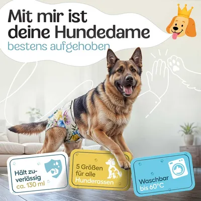 HUND IST KÖNIG saugstarke Hundewindeln Hündinnen (3 Stk), 3-Fach Justierung HUND IST KÖNIG saugstarke Hundewindeln Hündinnen (3 Stk), 3-Fach Justierung