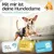 HUND IST KÖNIG saugstarke Hundewindeln Hündinnen (3 Stk), 3-Fach Justierung HUND IST KÖNIG saugstarke Hundewindeln Hündinnen (3 Stk), 3-Fach Justierung