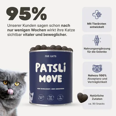 Patsli Move Patsli Move