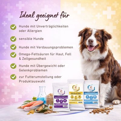 Wildfang Gourmet Box VetLine Adulte - Croquettes