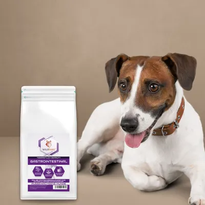 Wildfang - Aliment sec VetLine aux peptides pour chiens - Gastro-intestinal Wildfang - Aliment sec VetLine aux peptides pour chiens - Gastro-intestinal