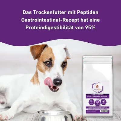 Wildfang - Aliment sec VetLine aux peptides pour chiens - Gastro-intestinal Wildfang - Aliment sec VetLine aux peptides pour chiens - Gastro-intestinal