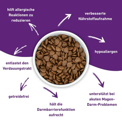 VetLine Trockenfutter mit Peptiden für Hunde - Gastrointestinal