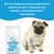 Wildfang Petcare - Croquettes Chien - Gastro Wildfang Petcare - Croquettes Chien - Gastro